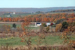 Town of Glen Pic 1