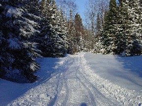 Snowmobile Trail through the woods