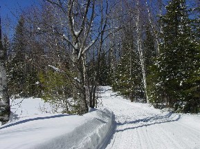 Another Snowmobile Trail through the woods