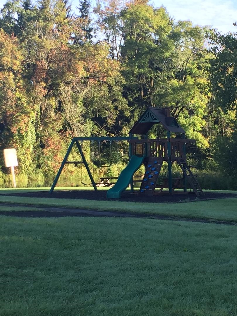 Swingset in the park on a summer day