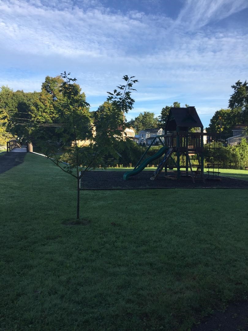 Park in the summer - playground equipment, a tree and a bridge